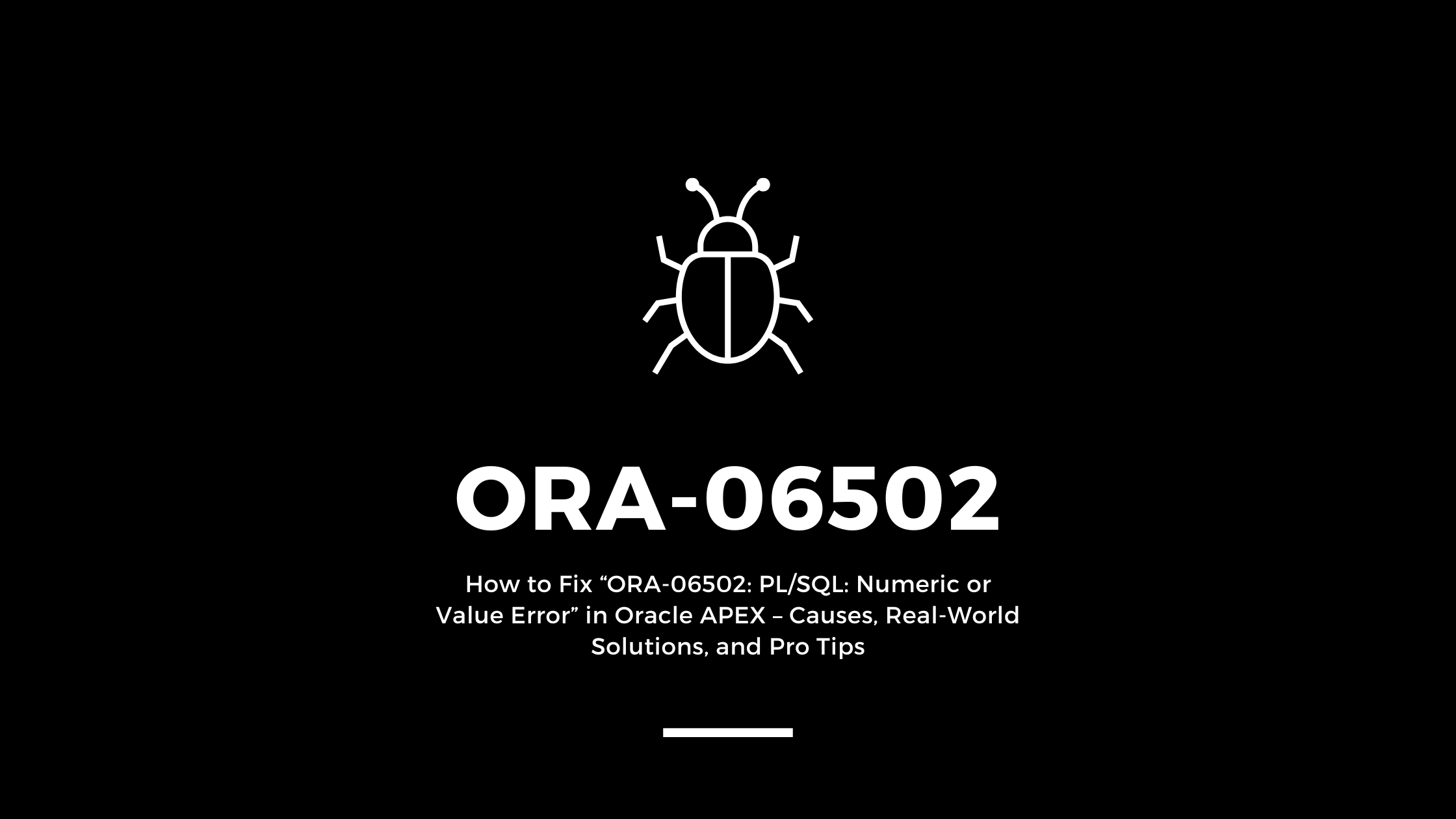 ORA 06502